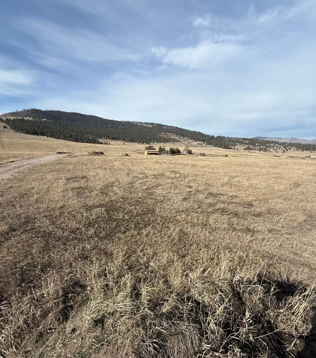 NHN Walking Horse Lane, Big Arm, MT 59910 - #1