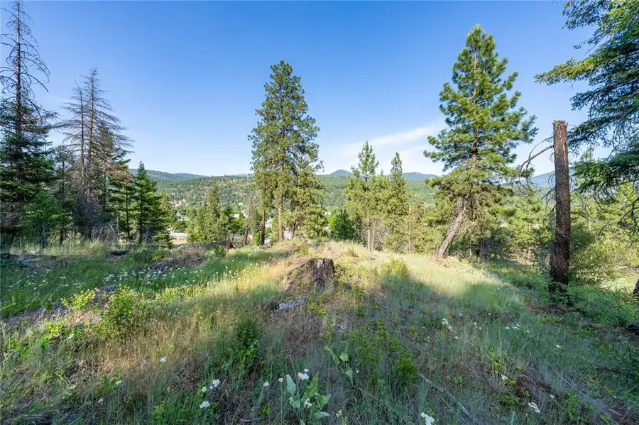 TBD Dent Avenue, Troy, MT 59935 - #3