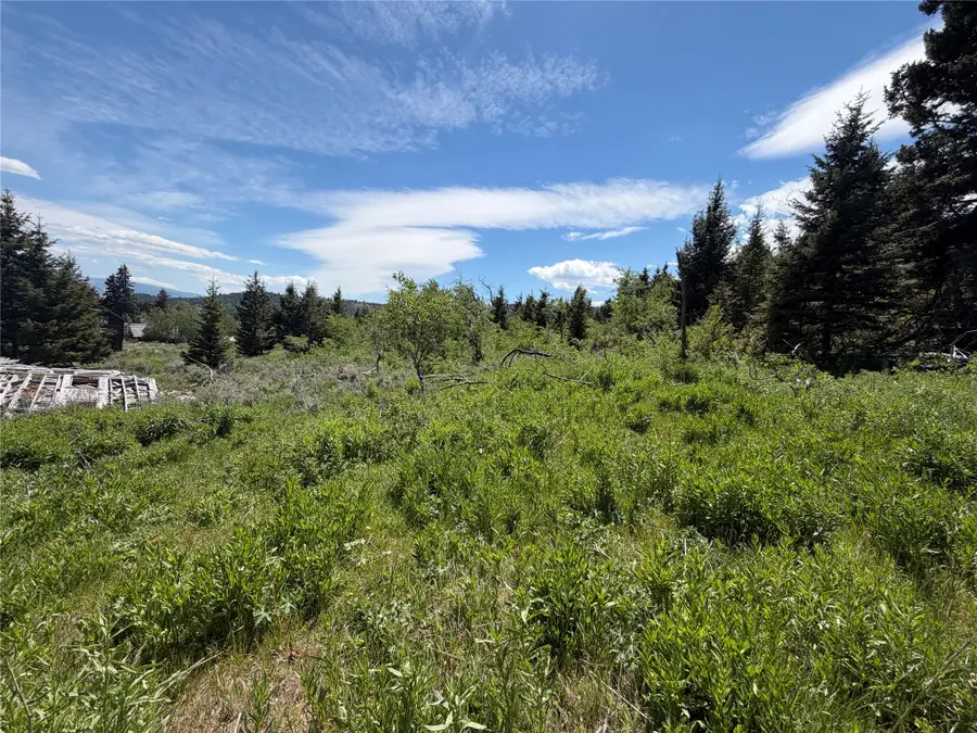 NHN Castle Town, White Sulphur Springs, MT 59645 - #3