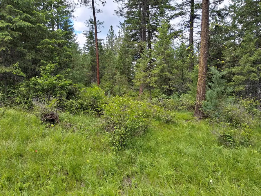 746 Tami Drive E, Superior, MT 59872 - #3