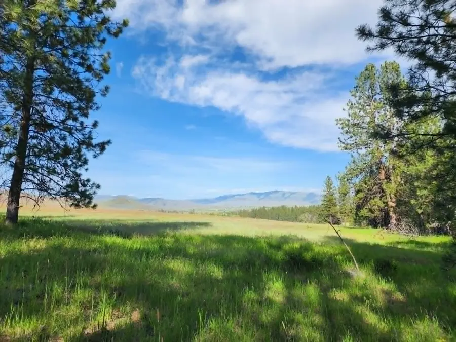NHN Stobie Lane, Hot Springs, MT 59845 - #3