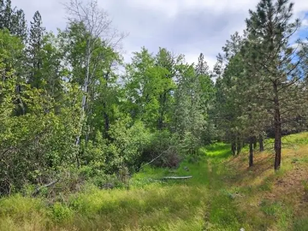 NHN Stobie Lane, Hot Springs, MT 59845