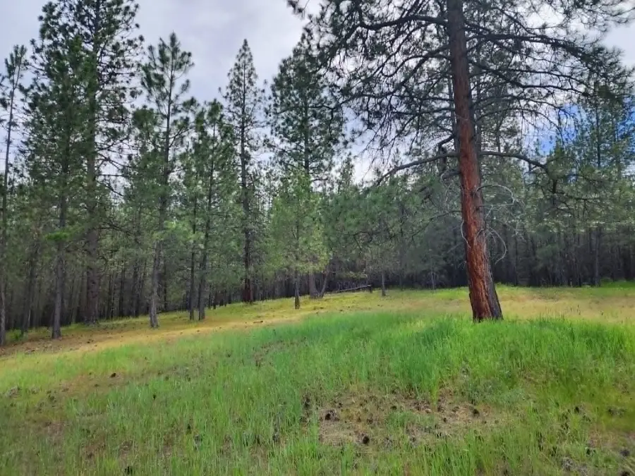NHN Stobie Lane, Hot Springs, MT 59845 - #2