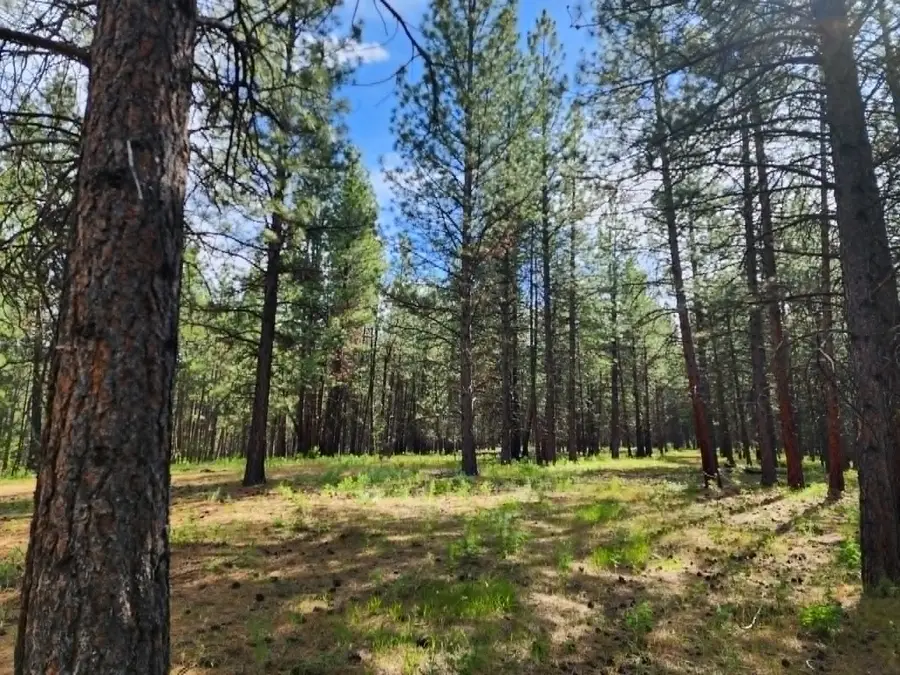NHN Stobie Lane, Hot Springs, MT 59845 - #3