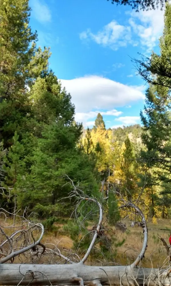 NHN Hoover Creek Road, Helmville, MT 59843