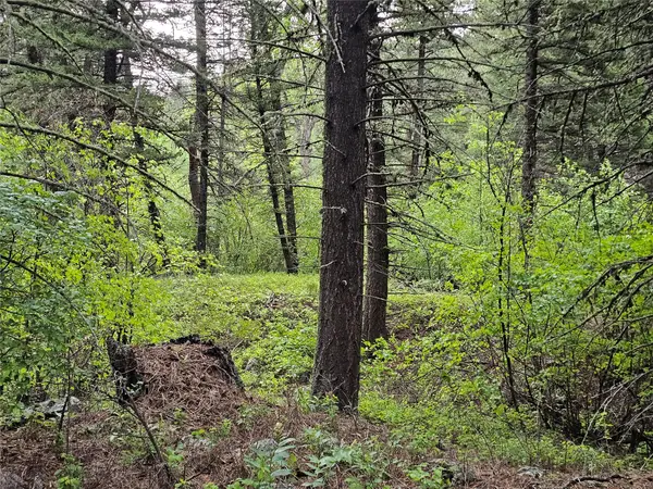 NHN Upper Sawmill Creek Lane, Cascade, MT 59421