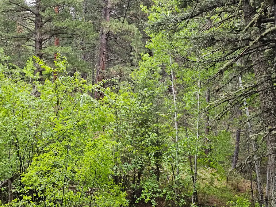 NHN Upper Sawmill Creek Lane, Cascade, MT 59421 - #3