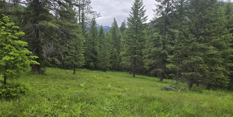 NHN Bull River Road, Noxon, MT 59853 - #3