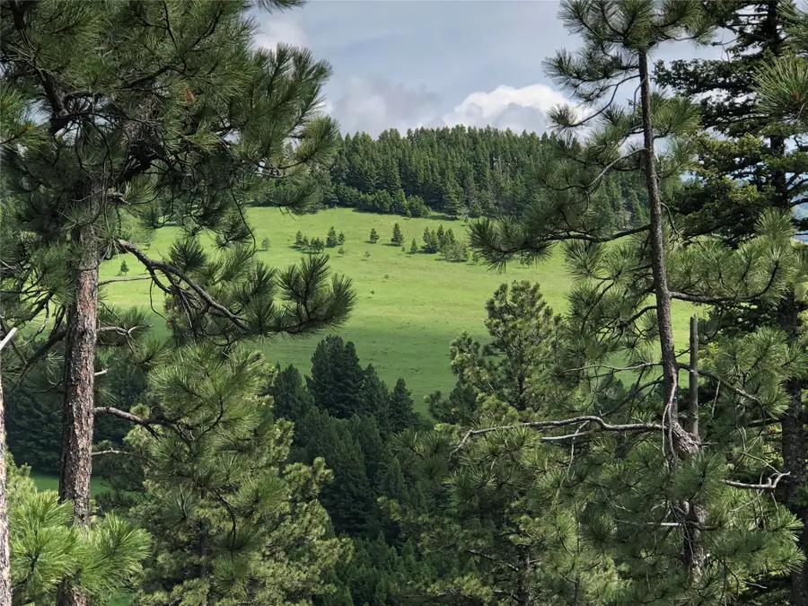 TBD Arrowood Estates Road, Raynesford, MT 59469 - #2