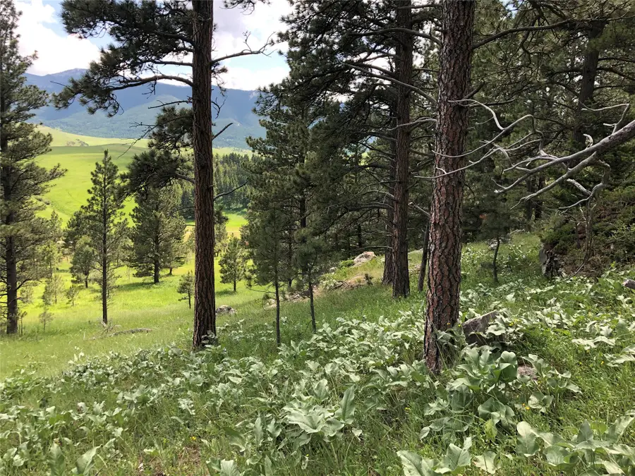 TBD Arrowood Estates Road, Raynesford, MT 59469 - #3
