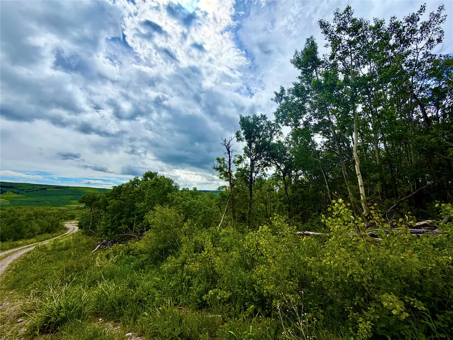 TBD Skyline Drive, Babb, MT 59411 - #2