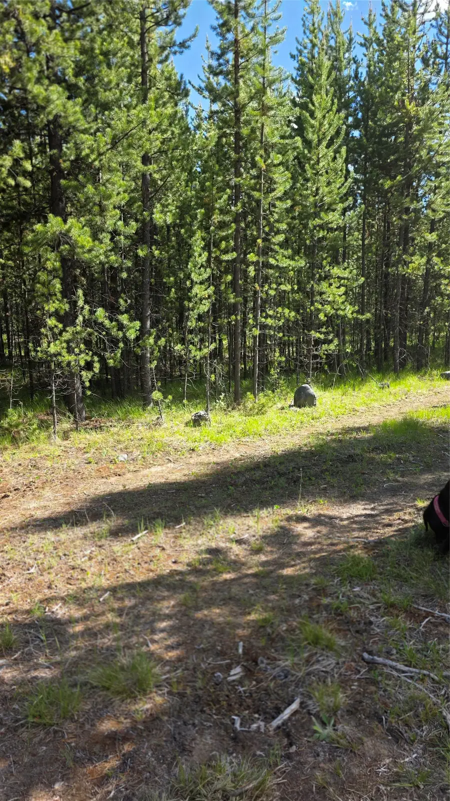 TBD Anderson Tracts Road, Anaconda, MT 59711 - #2