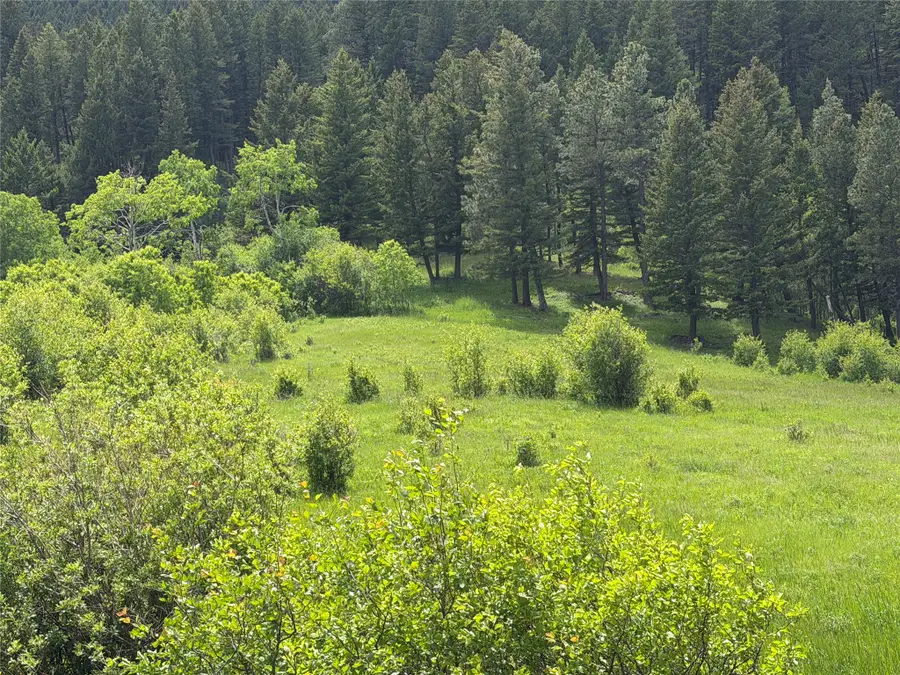 NHN Gilt Edge Stage Road, Lewistown, MT 59457 - #3