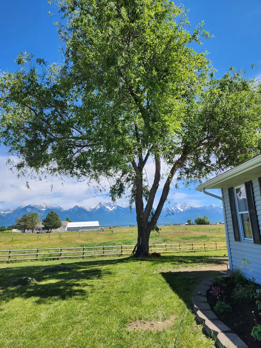 37251 Little Marten Road, Ronan, MT 59864 - #2
