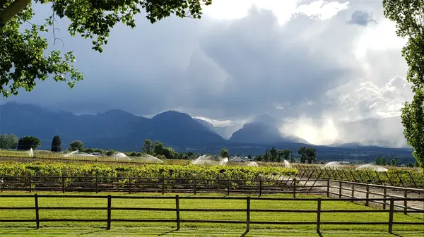 Nhn - Lot A Mountain View Orchard Road, Corvallis, MT 59828