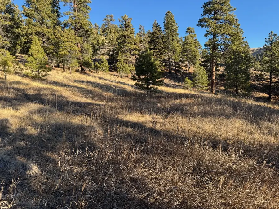 NHN Pryor Creek Lane, Cascade, MT 59421 - #2
