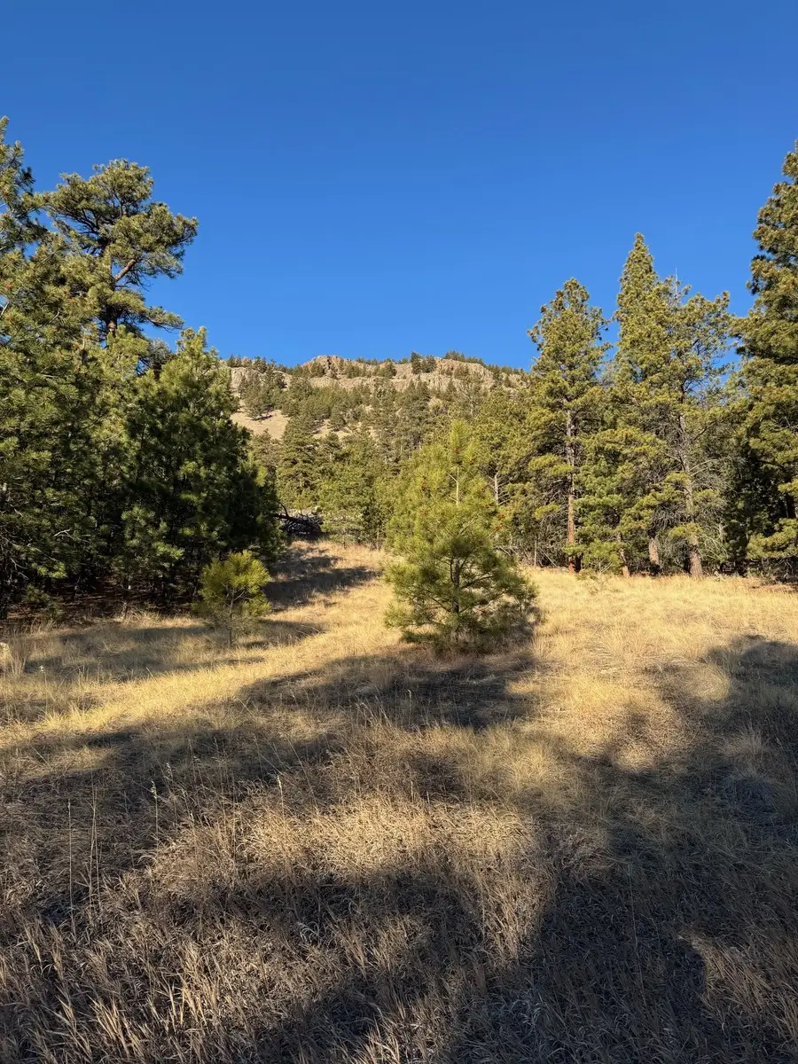 NHN Pryor Creek Lane, Cascade, MT 59421 - #3