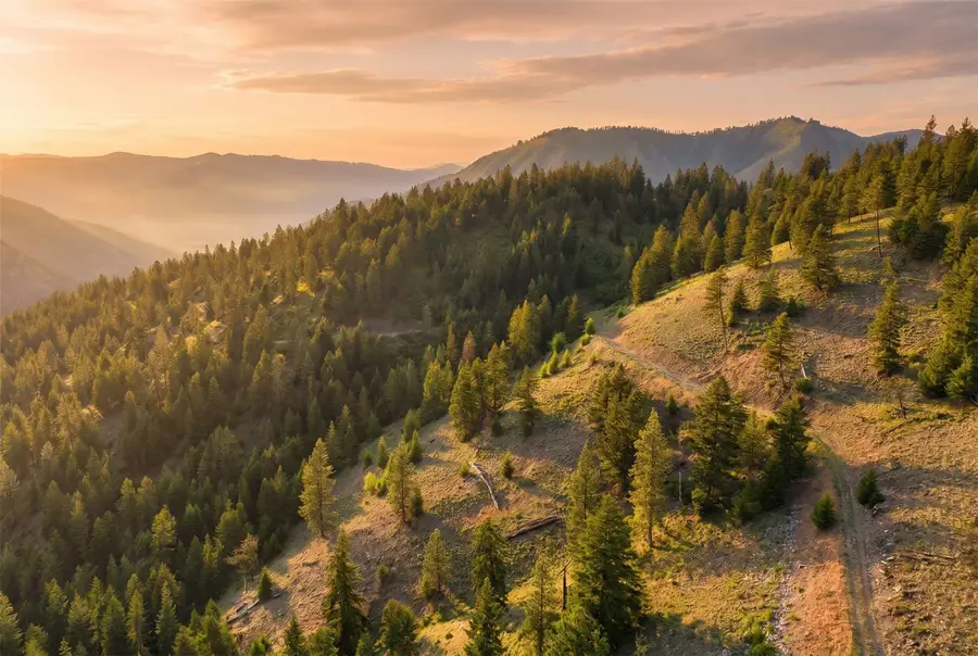 Nhn Lolo Forestlands, Alberton, MT 59820 - #3