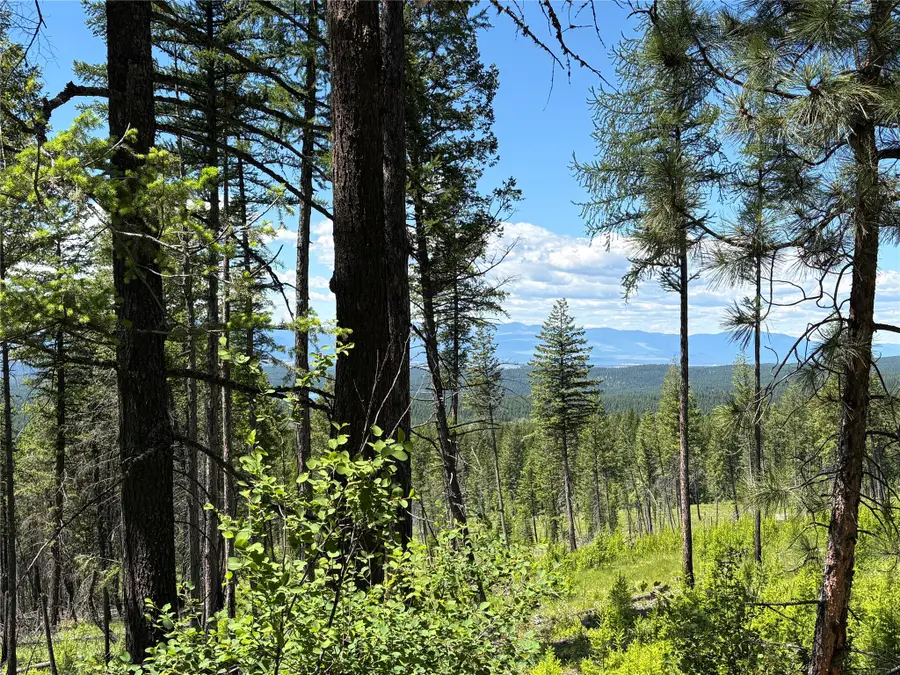 8025 Therriault Pass Road, Eureka, MT 59917 - #2