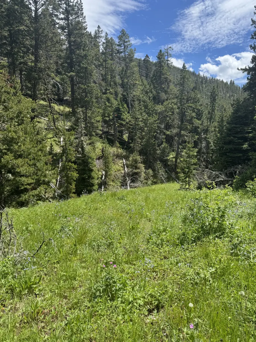 NHN Codette Creek Road, Lincoln, MT 59639 - #2