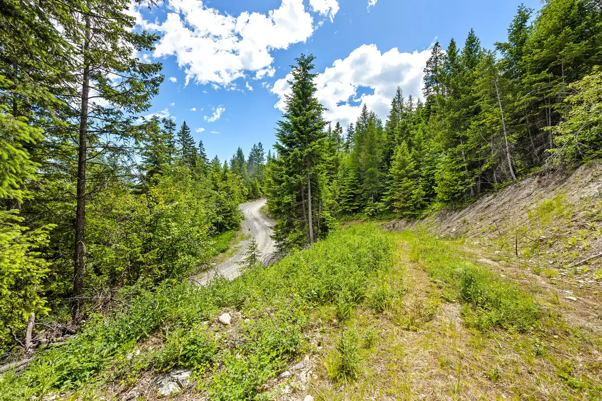 64 Lone Wolf Trail, Lakeside, MT 59922 - #1