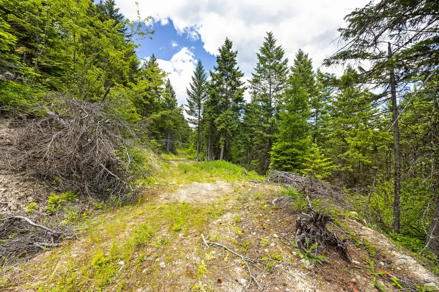 64 Lone Wolf Trail, Lakeside, MT 59922 - #2