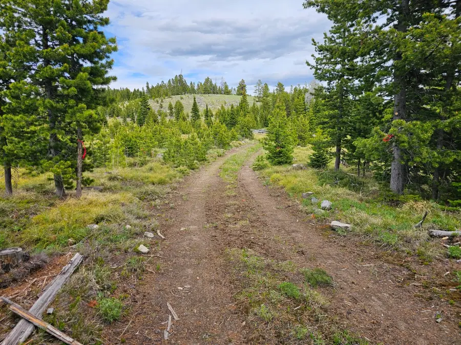 Excelsior Bullion Parks Road, Elliston, MT 59728 - #2