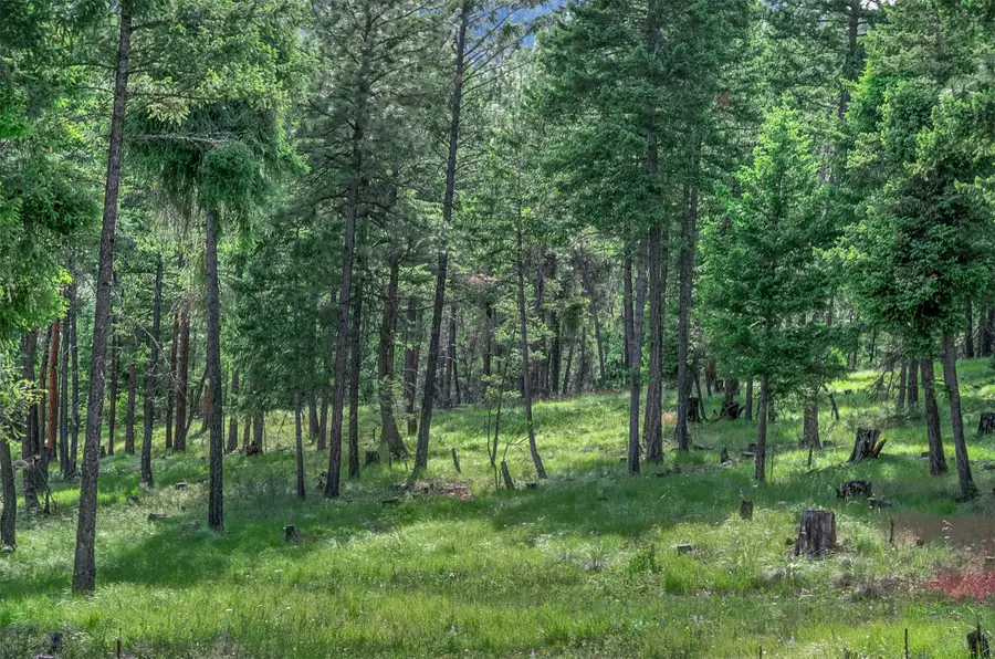 865 Lone Osprey Ridge, Somers, MT 59932 - #3