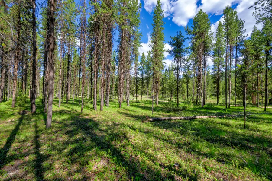 NHN Happy Acres Lane, Sula, MT 59871 - #3