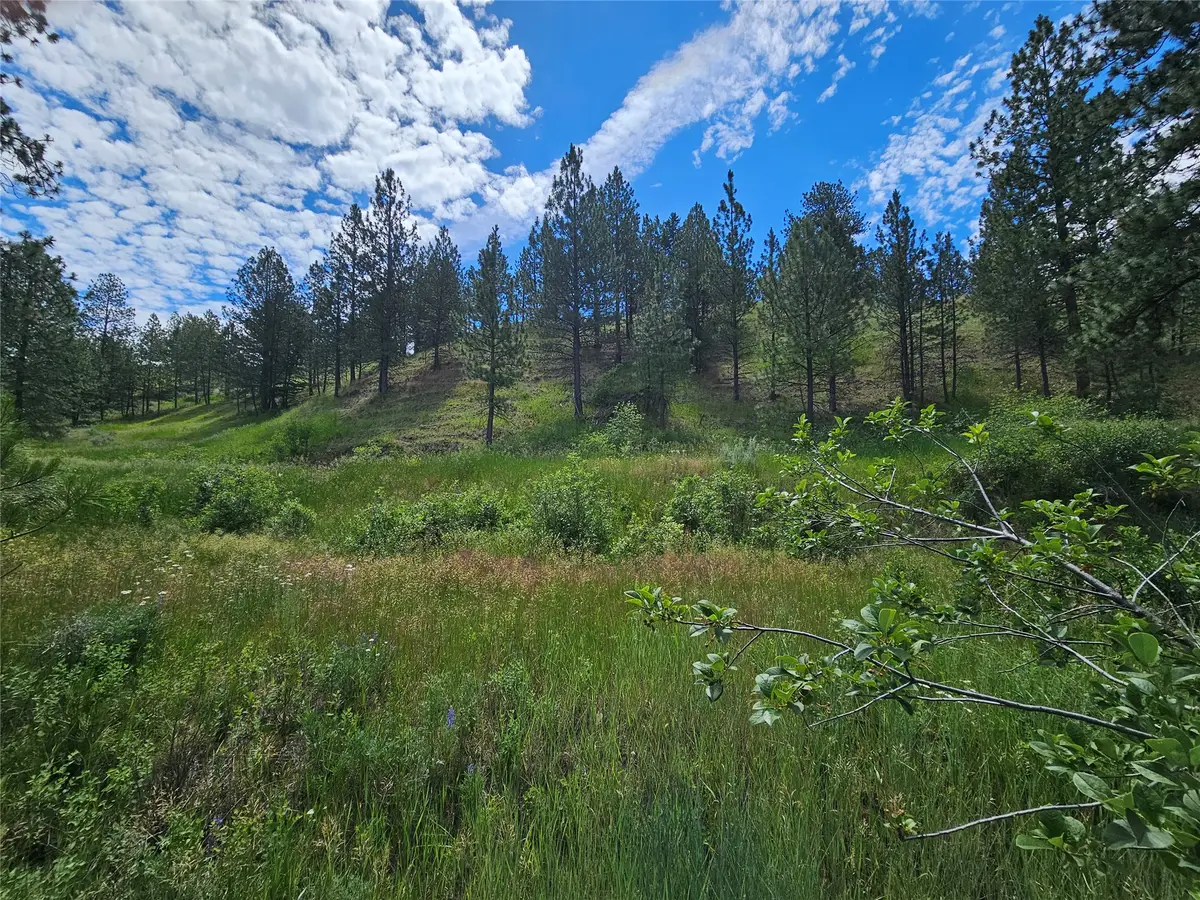 569 Creek Hollow Way, Florence, MT 59833 - #1