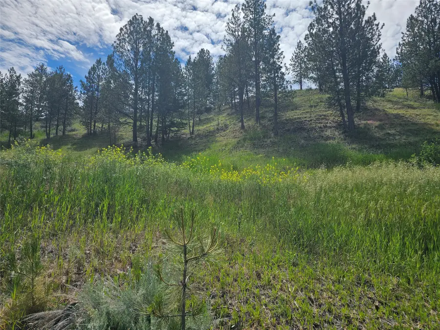 569 Creek Hollow Way, Florence, MT 59833 - #3