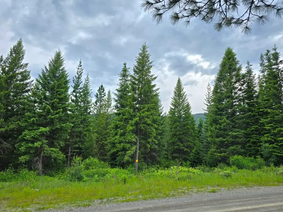 4577 Quartz Creek Road, Libby, MT 59923 - #2