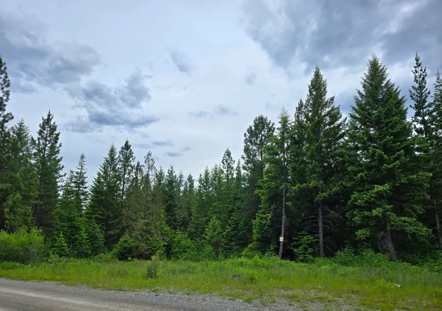 4577 Quartz Creek Road, Libby, MT 59923 - #3