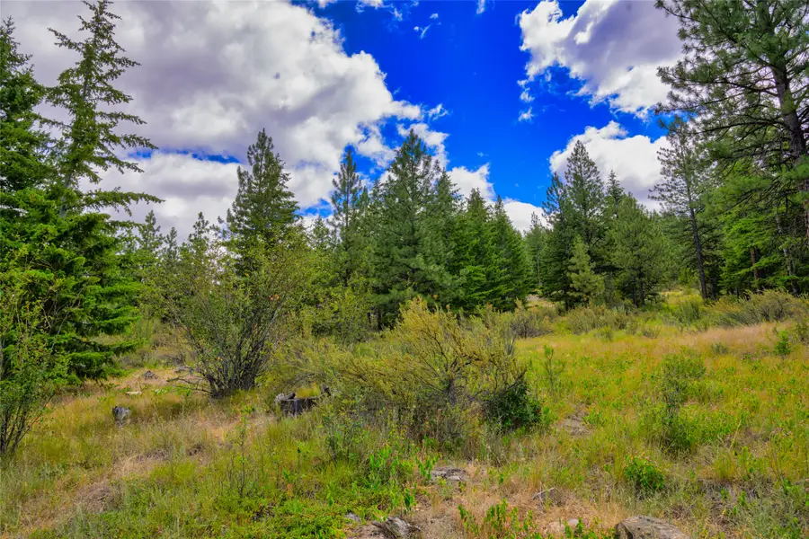 Lot 6 Bighorn Bluff Road, Plains, MT 59859 - #2