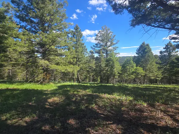 28 Muskrat Road, Helmville, MT 59843