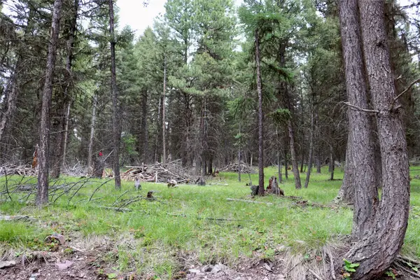 1016 Grandview Drive, Seeley Lake, MT 59868