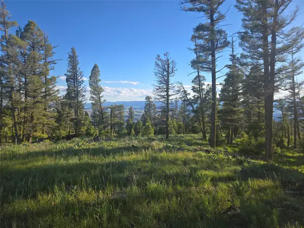 1 Big Sky Ridge Road, Drummond, MT 59832