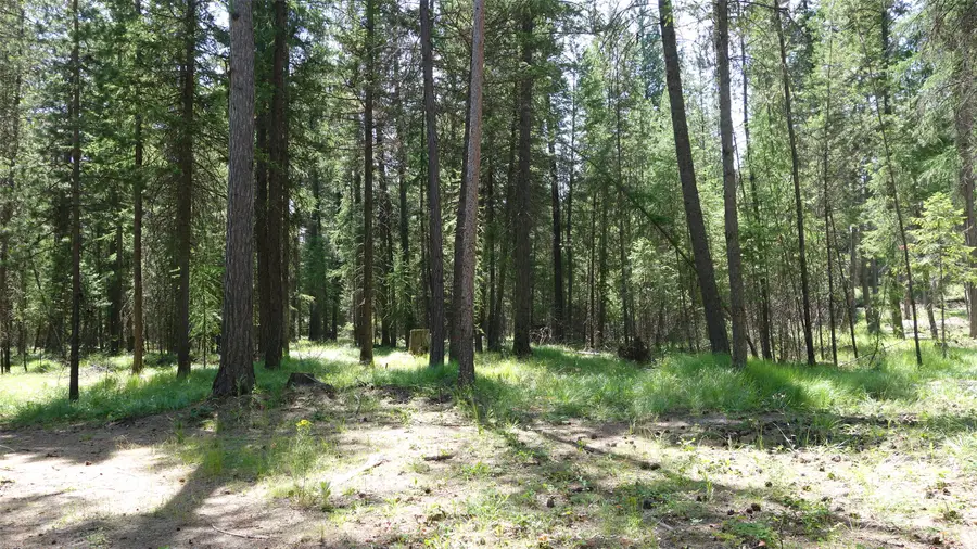 00 Skyline Way, Libby, MT 59923 - #3