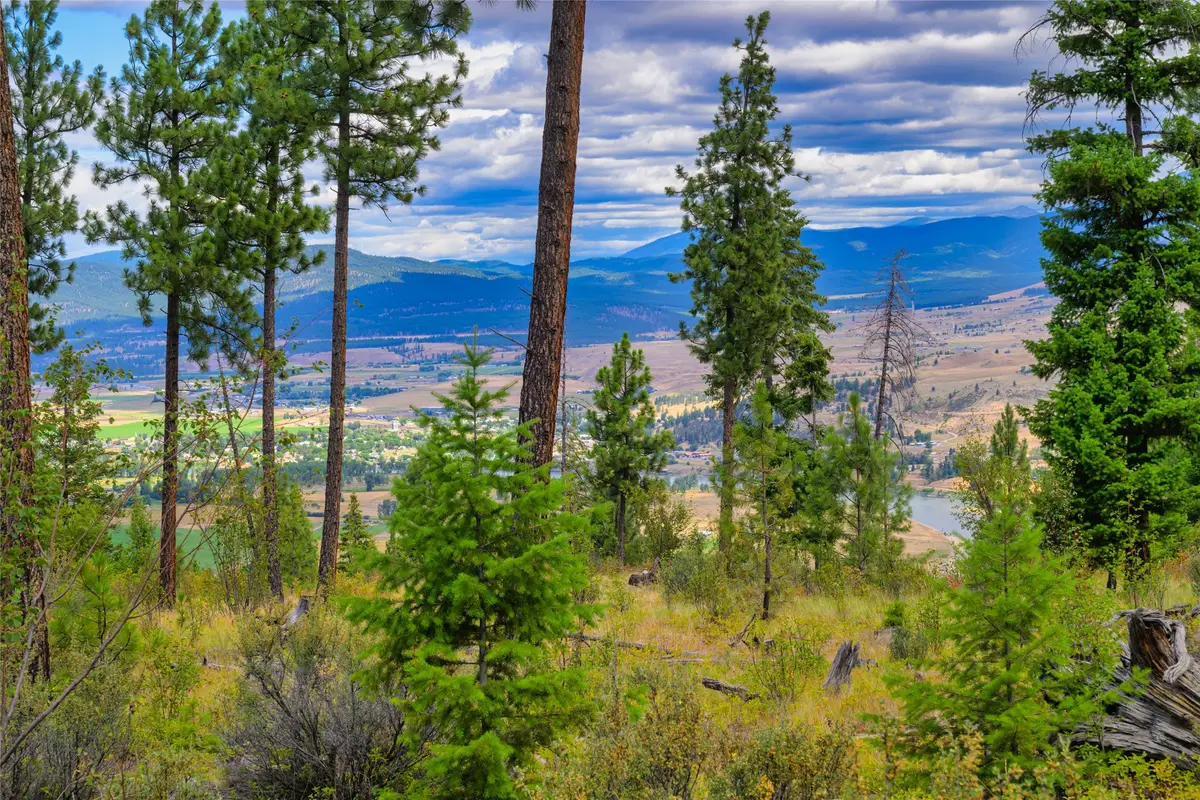 Lots 20 & 23 Bighorn Bluff Road, Plains, MT 59859 - #1