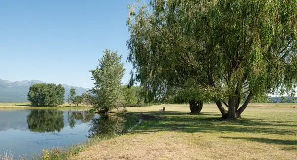213 Pheasant Ridge, Polson, MT 59860