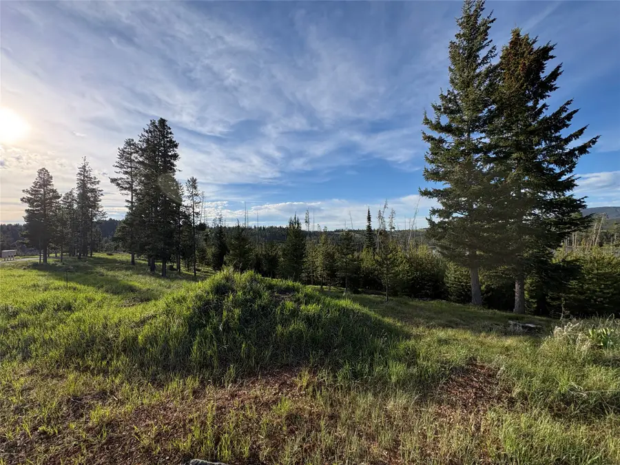 NHN Renegade Road, Anaconda, MT 59711 - #3