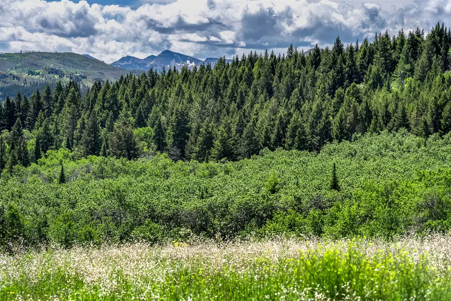 NHN Heart Butte Cutoff Road, East Glacier Park, MT 59434 - #3