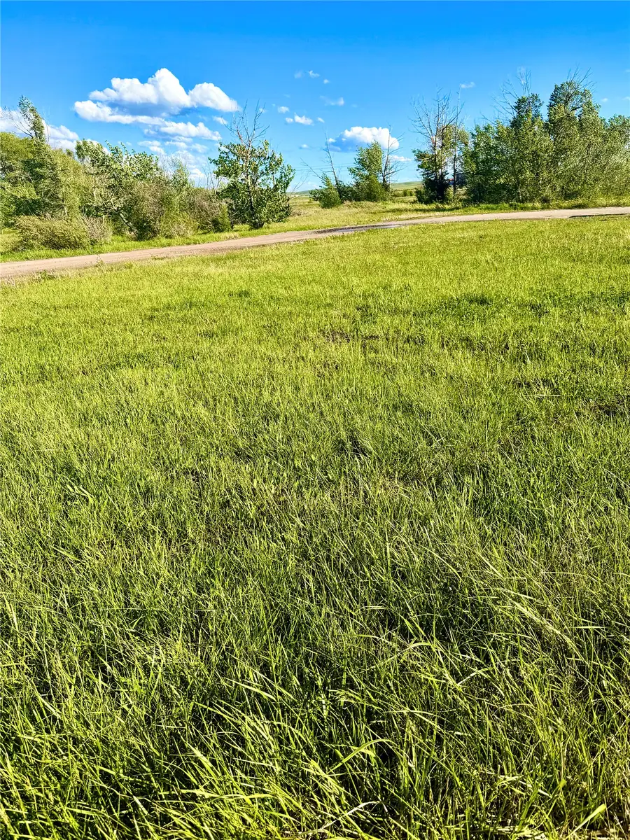 TBD Paul Road, Browning, MT 59417 - #2