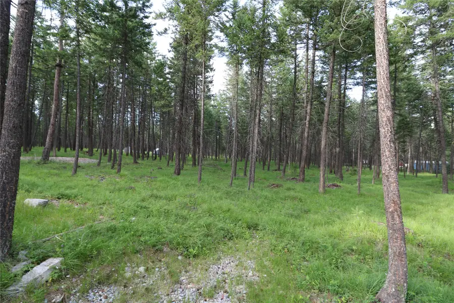 132 Squirrel Lane, Whitefish, MT 59937 - #2