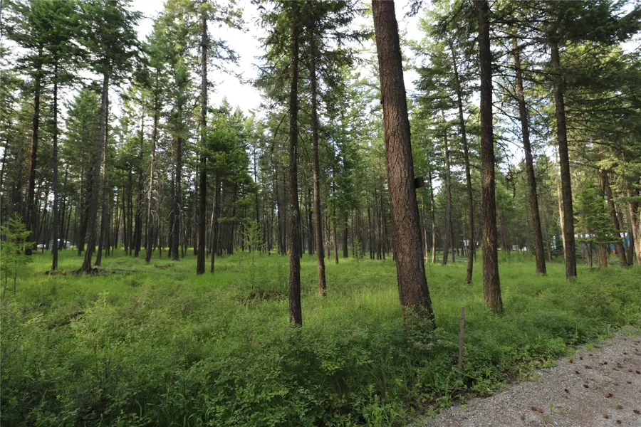 132 Squirrel Lane, Whitefish, MT 59937 - #3