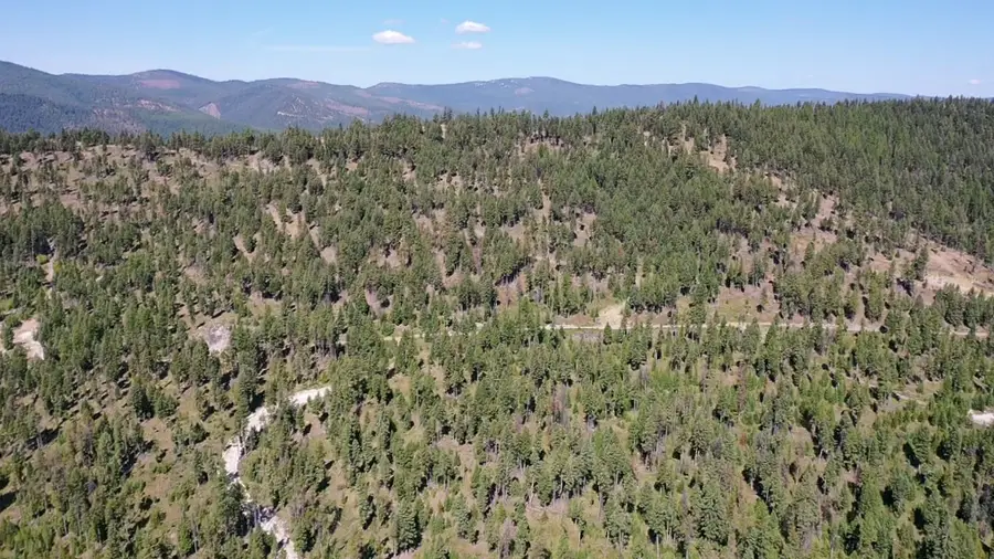 76 Hodge Ridge, Kila, MT 59920 - #3