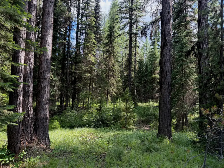 310 Moose Creek Road, Polebridge, MT 59928 - #2