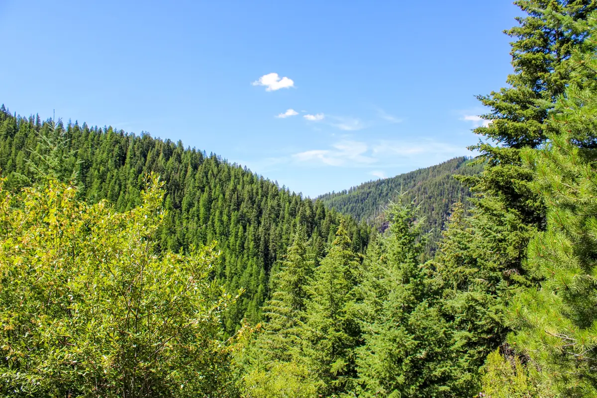 Tract 1 Pardee Flat Road, Superior, MT 59872 - #1