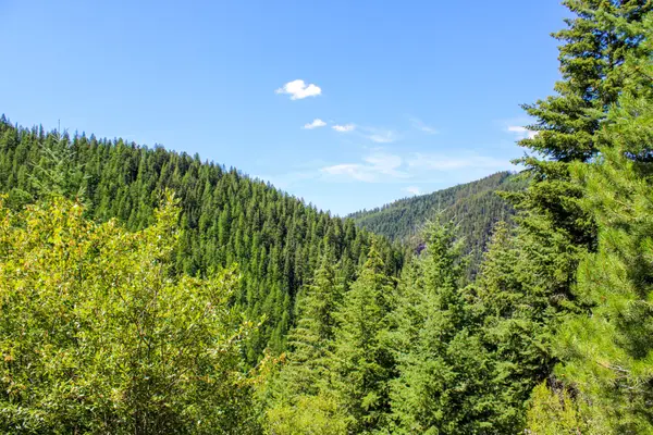 Tract 1 Pardee Flat Road, Superior, MT 59872