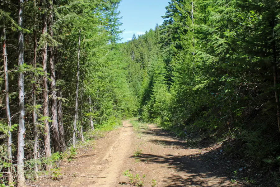 Tract 1 Pardee Flat Road, Superior, MT 59872 - #2